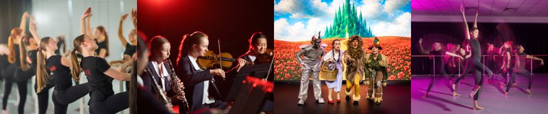Culture and Arts Banner 1.jpg