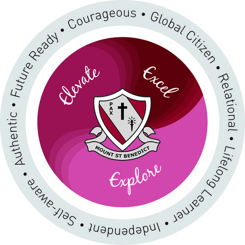 MSB11719 Cocurricular Dev Framework_AW.jpg